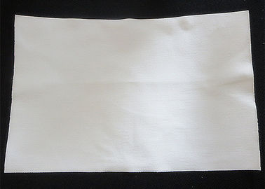 Ύφασμα / Ύφασμα φίλτρου Nylon Polyester PTFE για πλάκες φίλτρου πρέσας